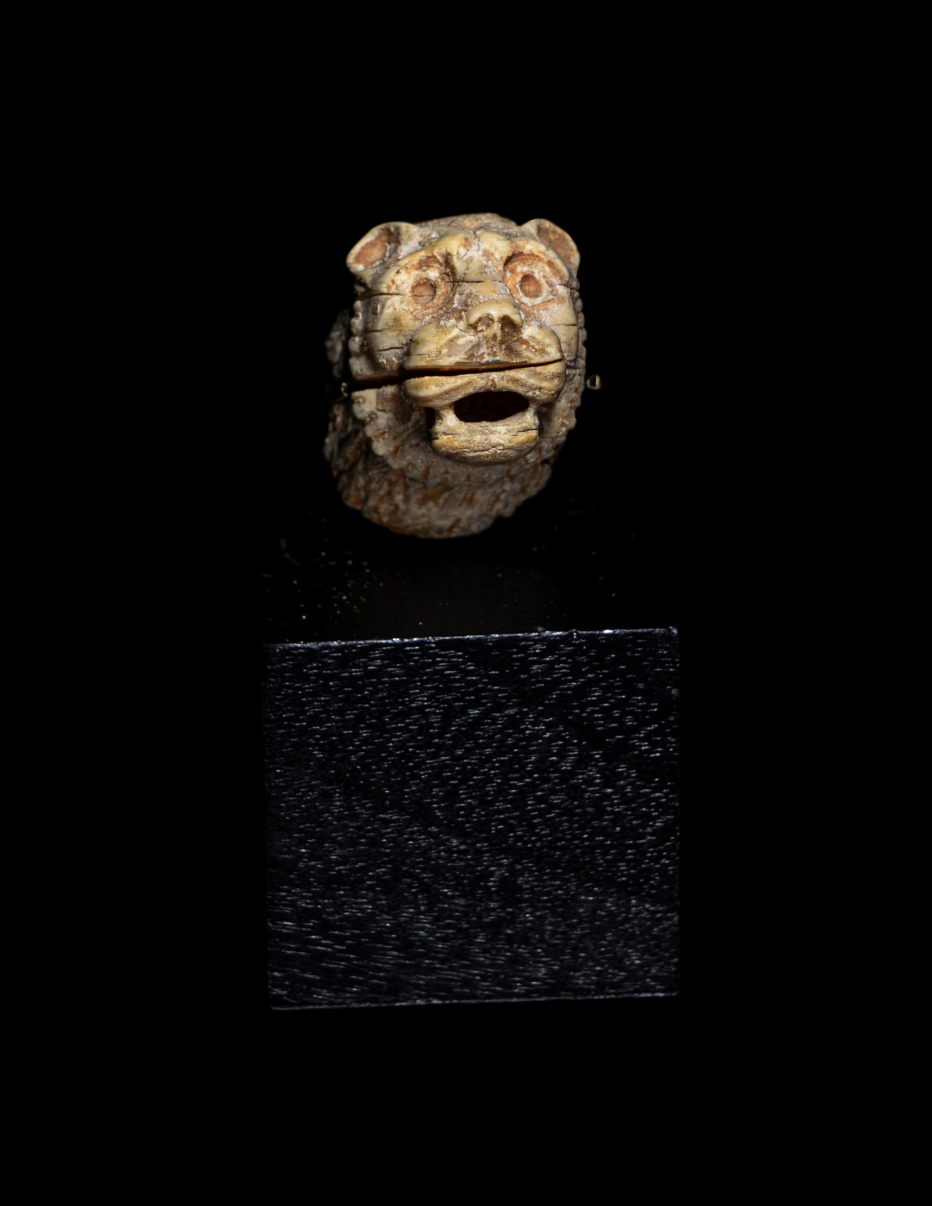 An Egyptian Bone Head of a Lion