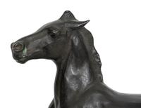 Trotting Horse