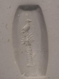 A Neo-Babylonian Banded Agate Amygdaloid with a Phoenix Atop a Palm Tree