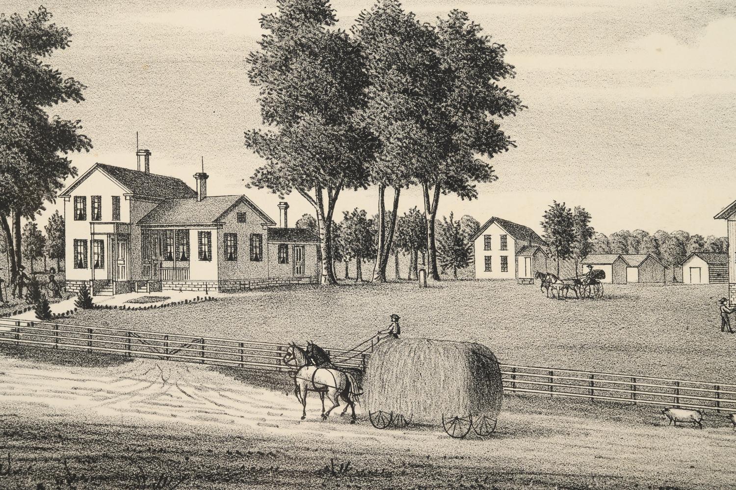 Printed City Views and Farm Scenes of Bloomingdale and Dupage County, Ill. N.p.: N.d. 23 x 21 In. Matted and framed.
