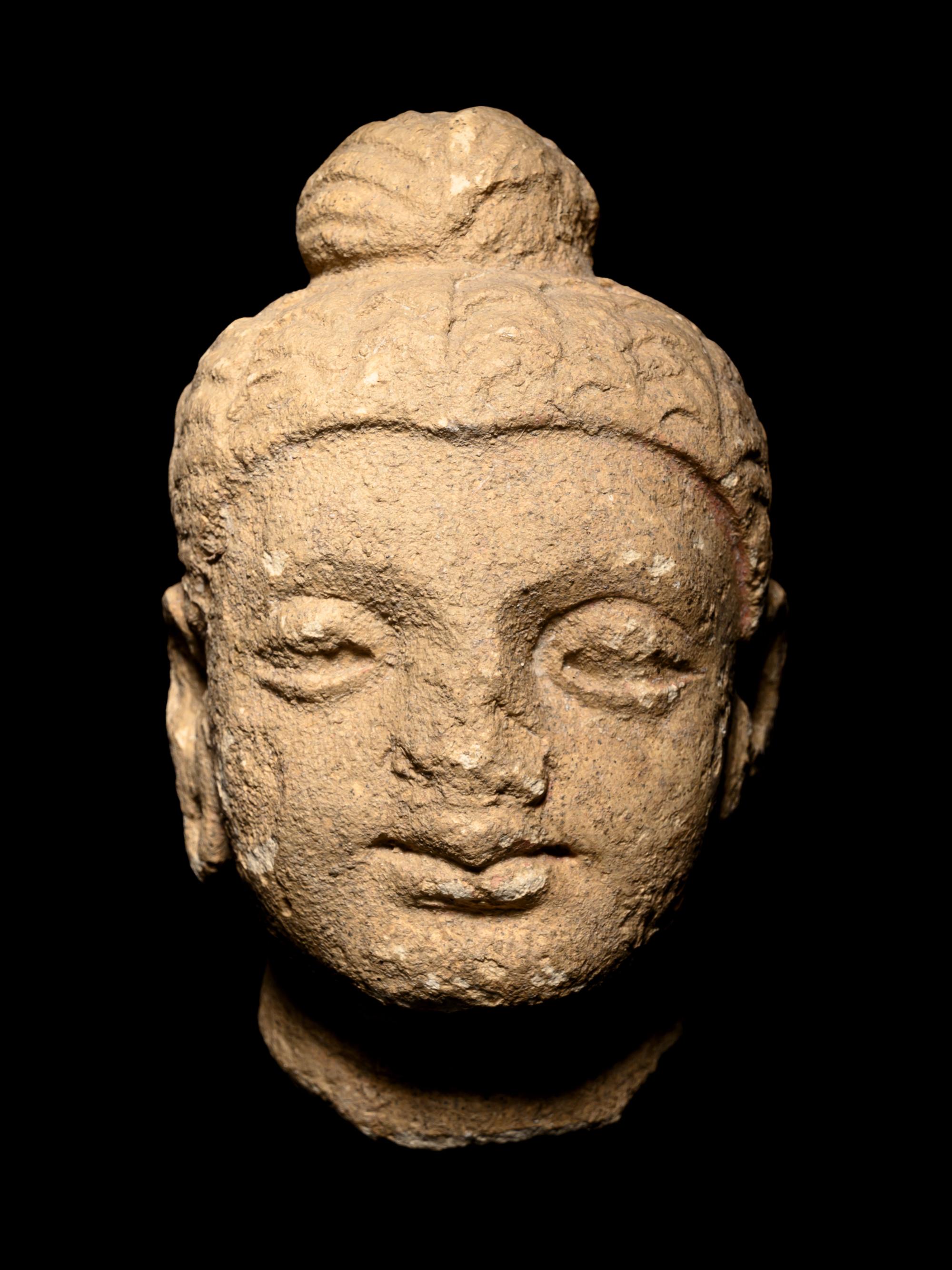 Five Gandharan Fragmentary Stucco Heads
