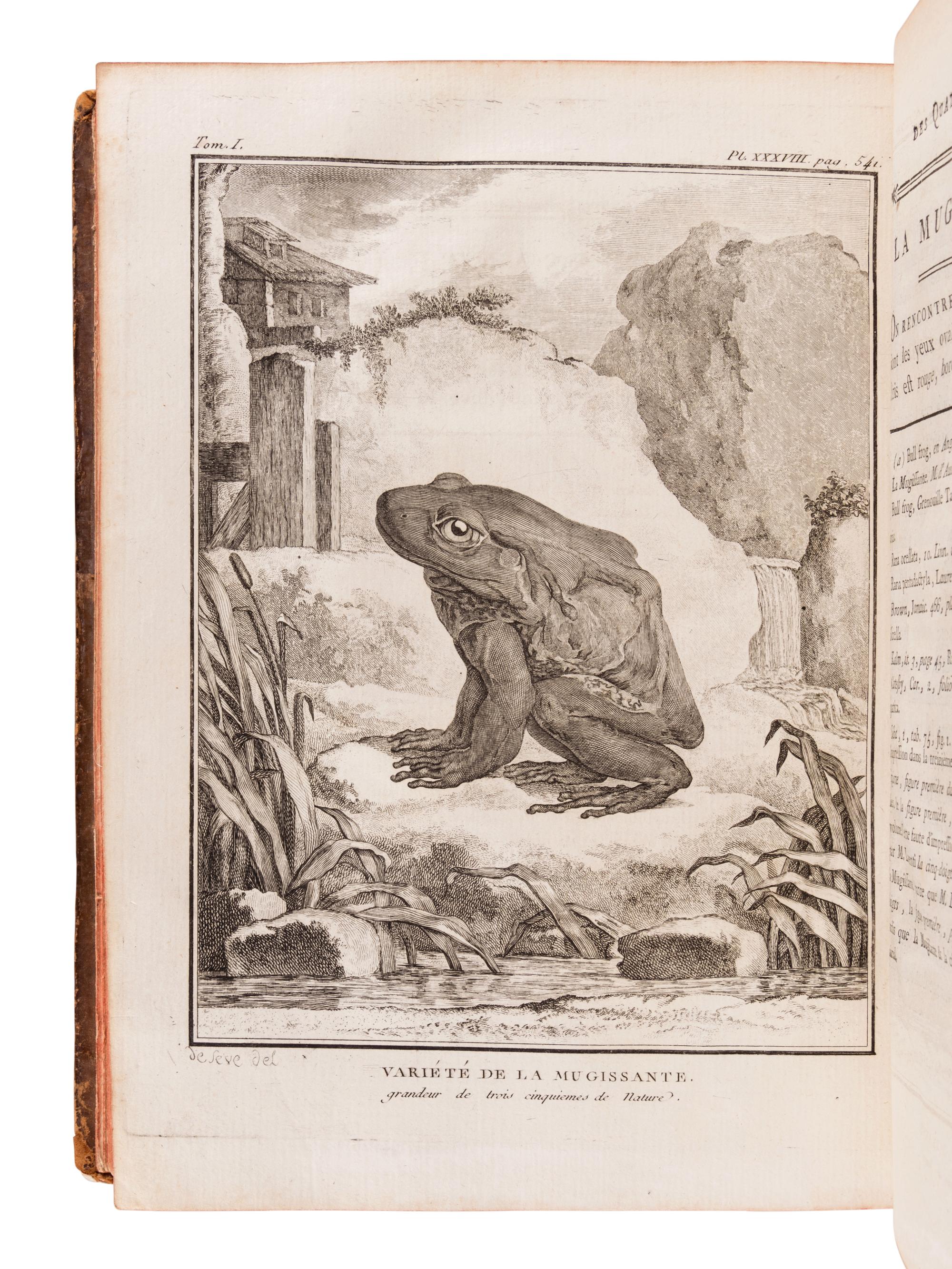 LACÉPÈDE, Bernard Germain de (1759-1825). Historie Naturelle des Quadrupedes Ovipares et des Serpens. Paris: Hôtel de Thou, 1788-1789.