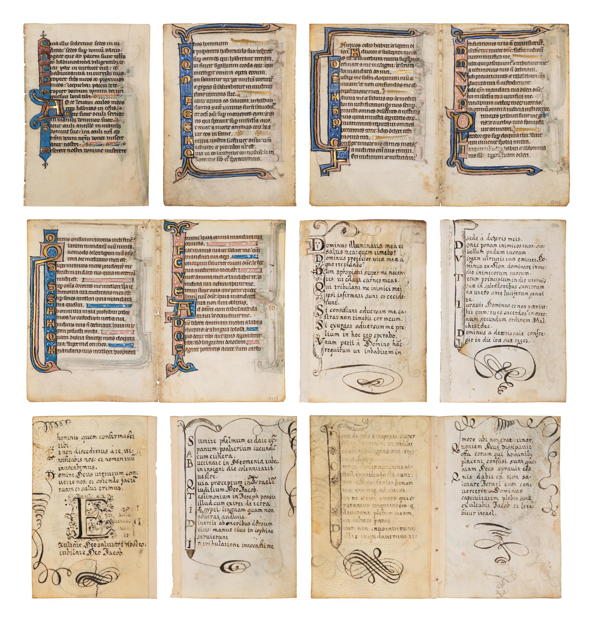 A collection of leaves from Psalter manuscripts, illuminated in Flanders in the first half of the thirteenth century, joined with a group of seventeenth- or eighteenth-century Psalter leaves drawn according to similar models