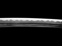 A Wakizashi