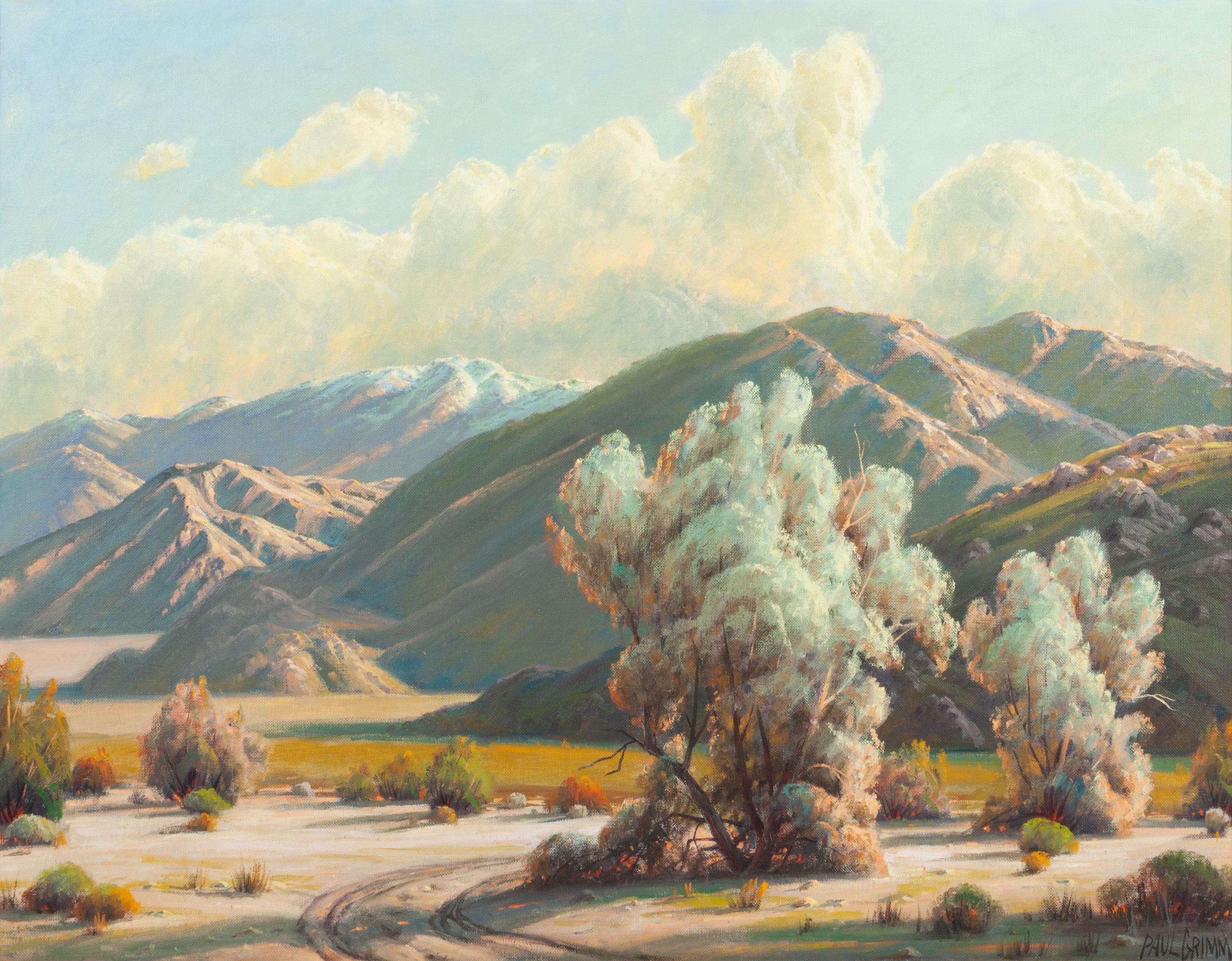 Beauty of the Desert