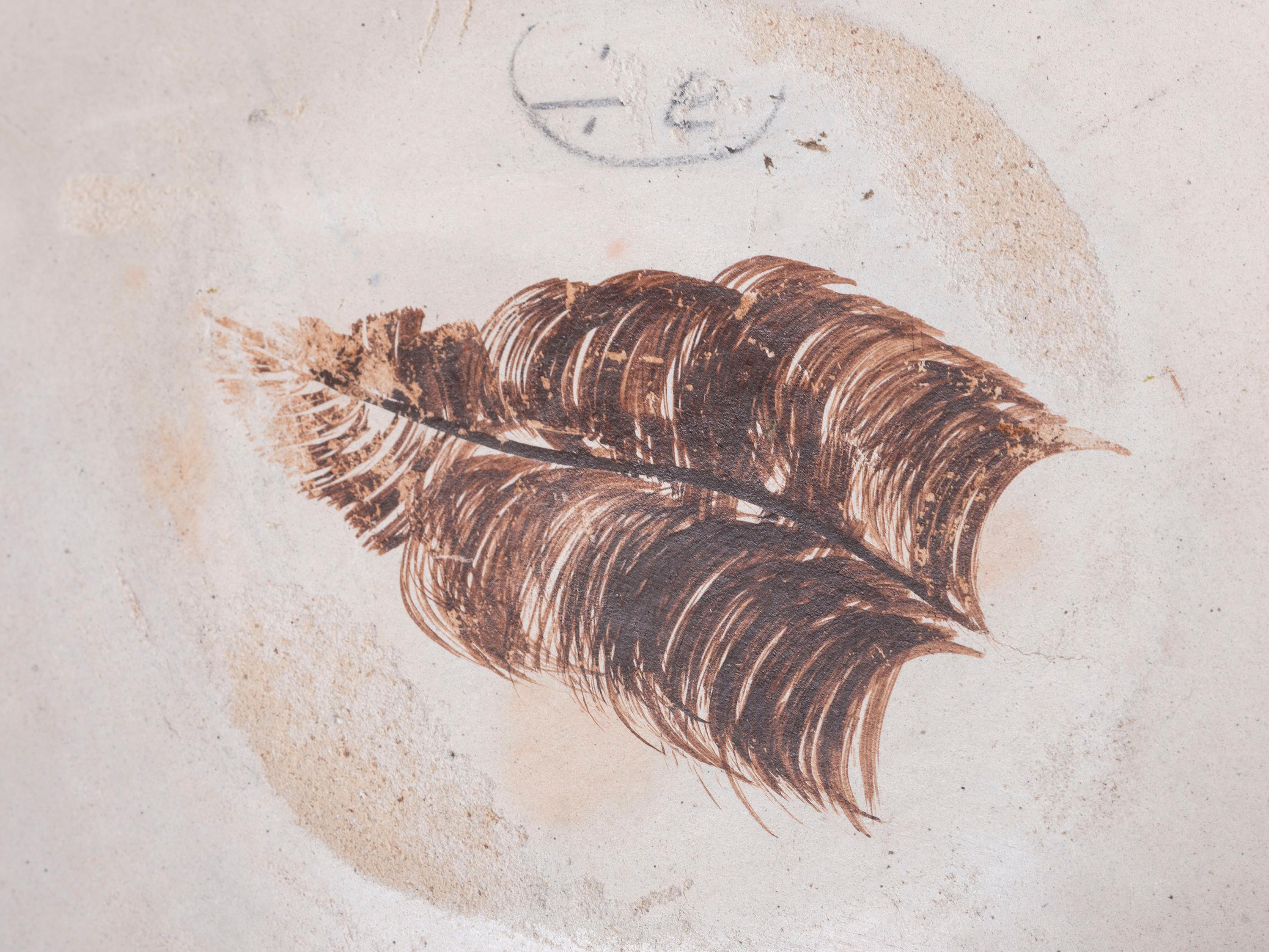 Pottery Bowl