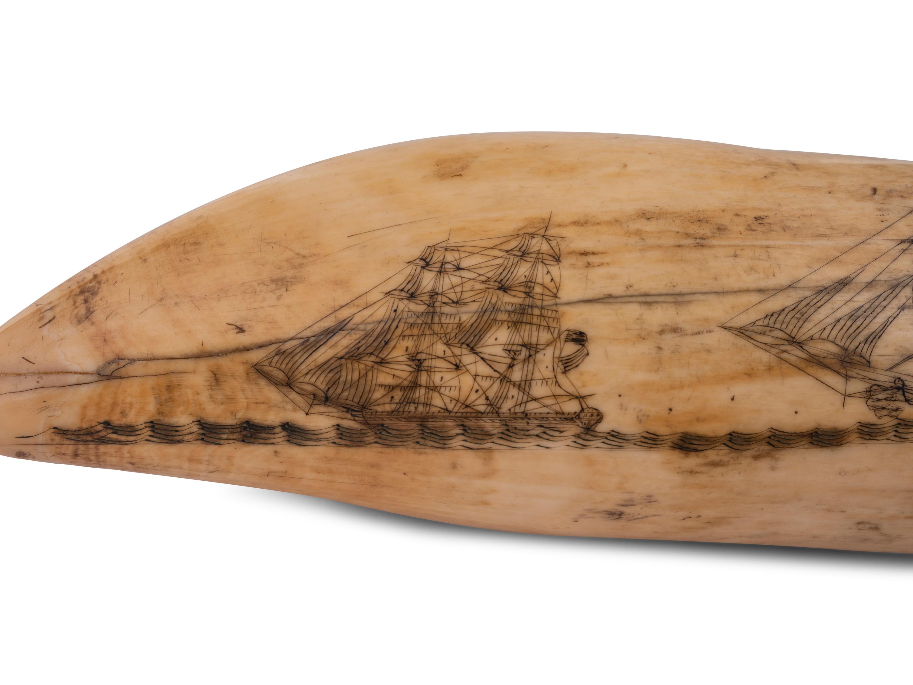 A Scrimshaw Tooth Depicting Two Ships Underway