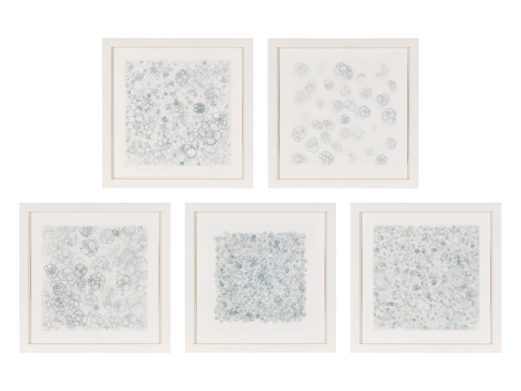 Untitled 1-V (complete set of 5), 2004