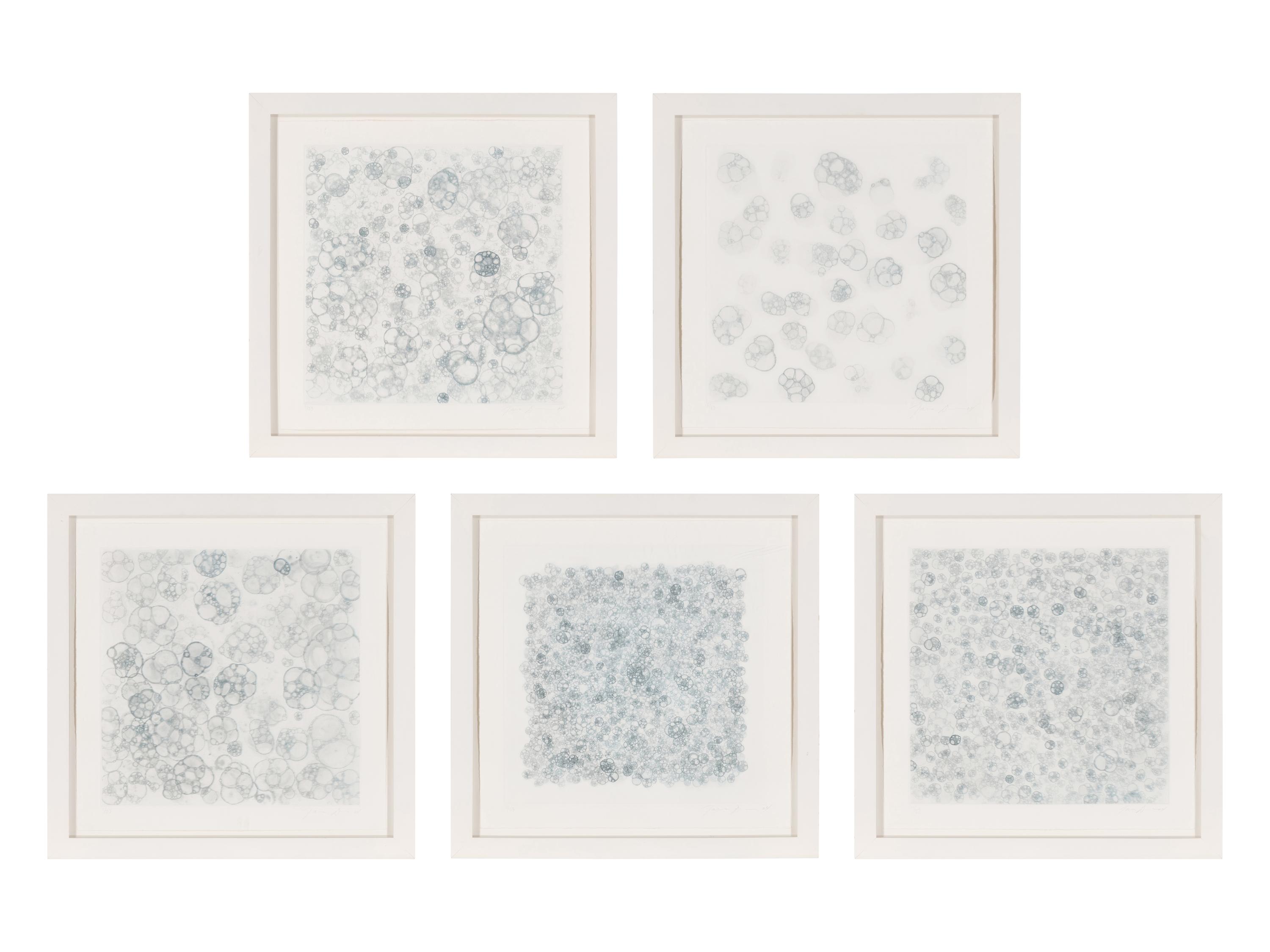 Untitled 1-V (complete set of 5), 2004
