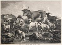 Various Artists, (19th/20th century), A Group of etchings and engravings, most pertaining to animals, approx. 12 total.