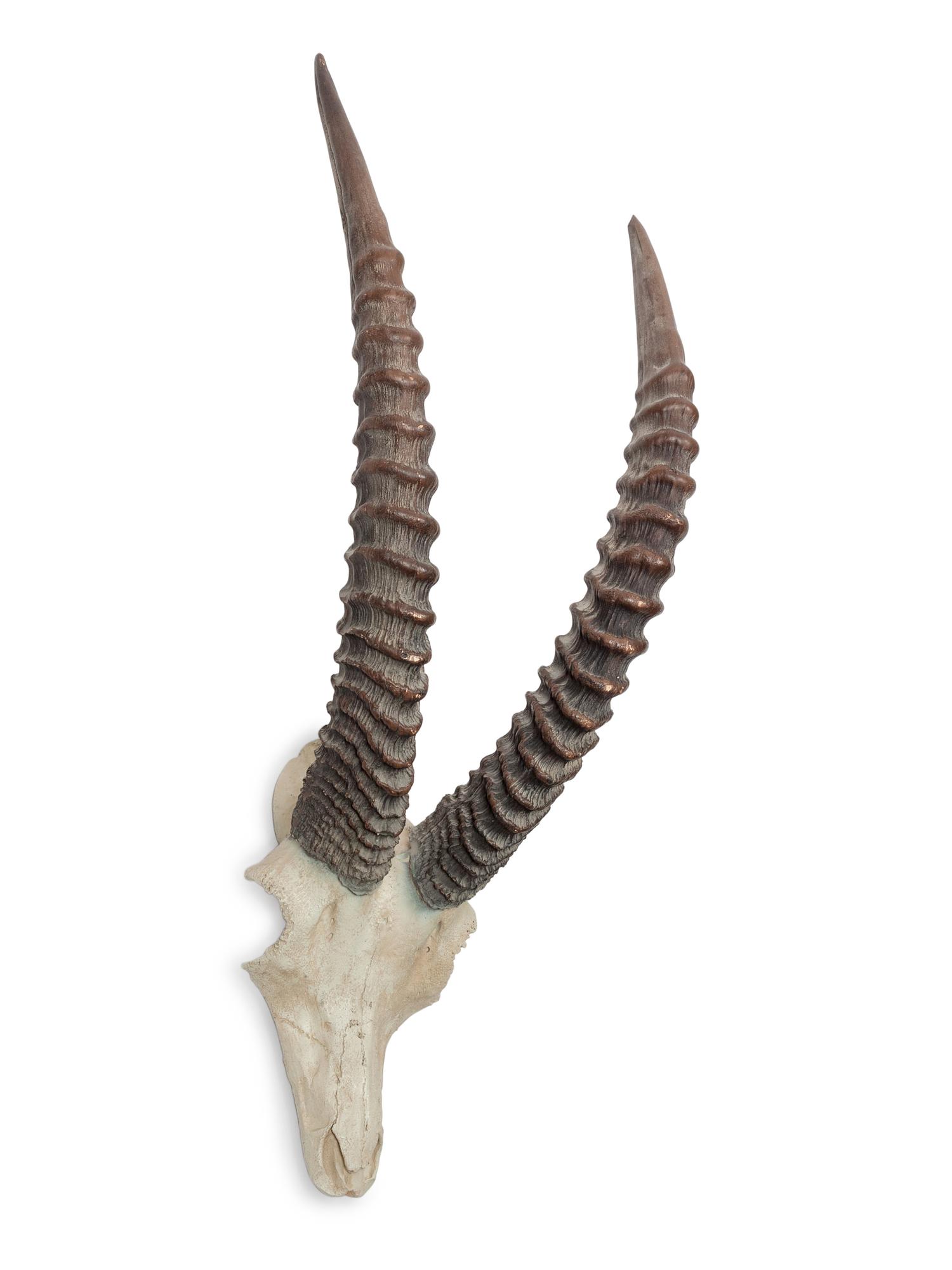 Cast Resin Sable Antelope Skull and Antler