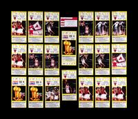 A Group of 21 Michael Jordan Chicago Bulls Tickets from the 1992-93 Season