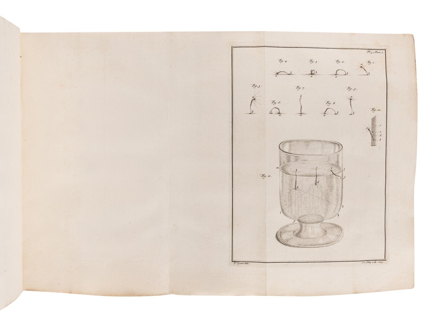 TREMBLEY, Abraham (1700-1784). Memoires pour servir a l'histoire d'un genre de polypes d'eau douce .... Leiden: Jean & Herman Verbeek, 1744.