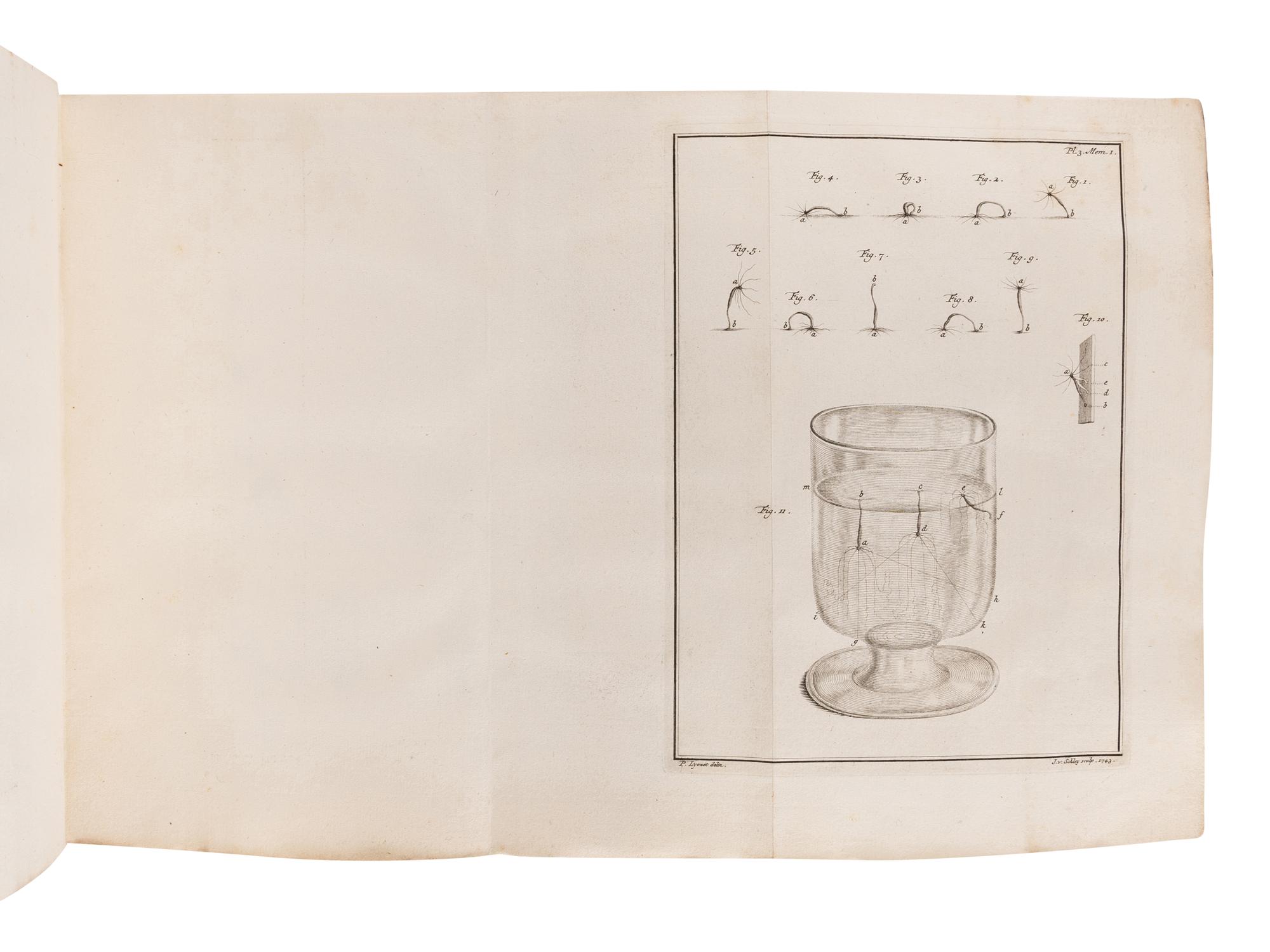 TREMBLEY, Abraham (1700-1784). Memoires pour servir a l'histoire d'un genre de polypes d'eau douce .... Leiden: Jean & Herman Verbeek, 1744.