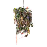 Nest , 2007