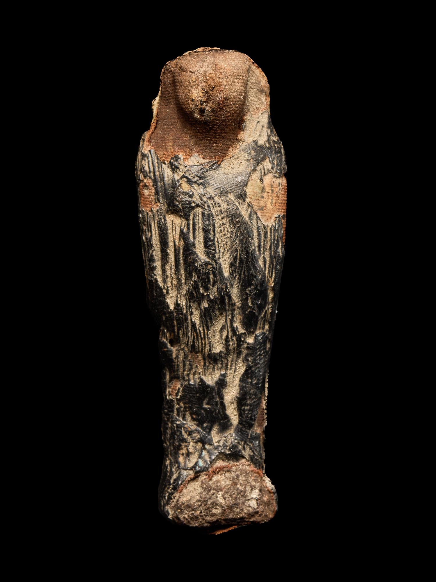 An Egyptian Mummified Falcon