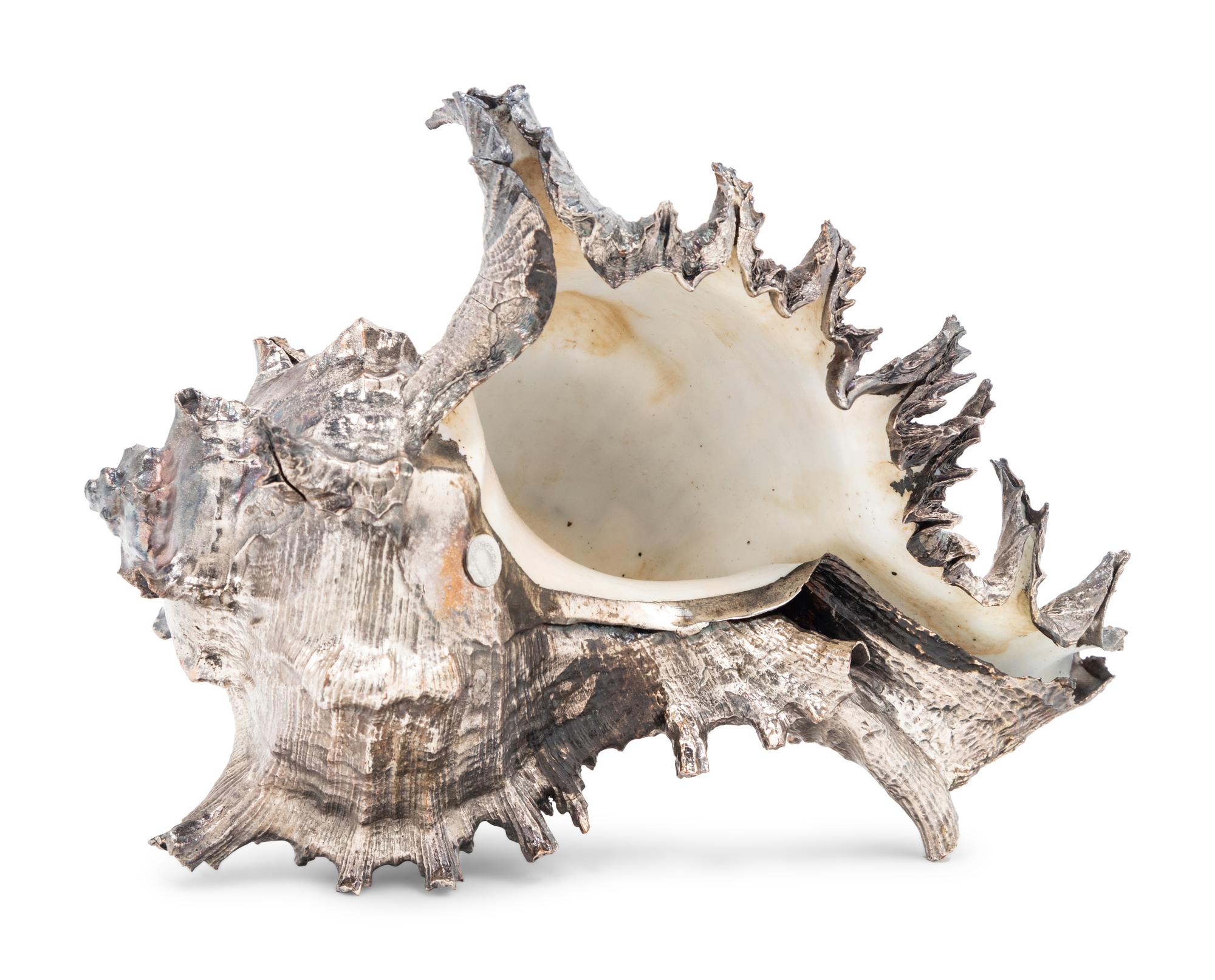 A Verdura Silver-Plate Conch Shell