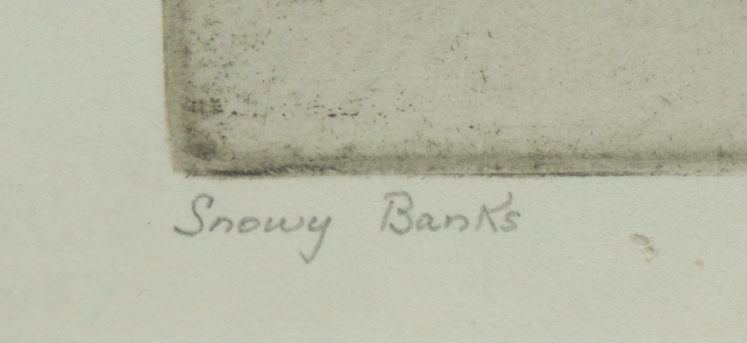 Snowy Banks