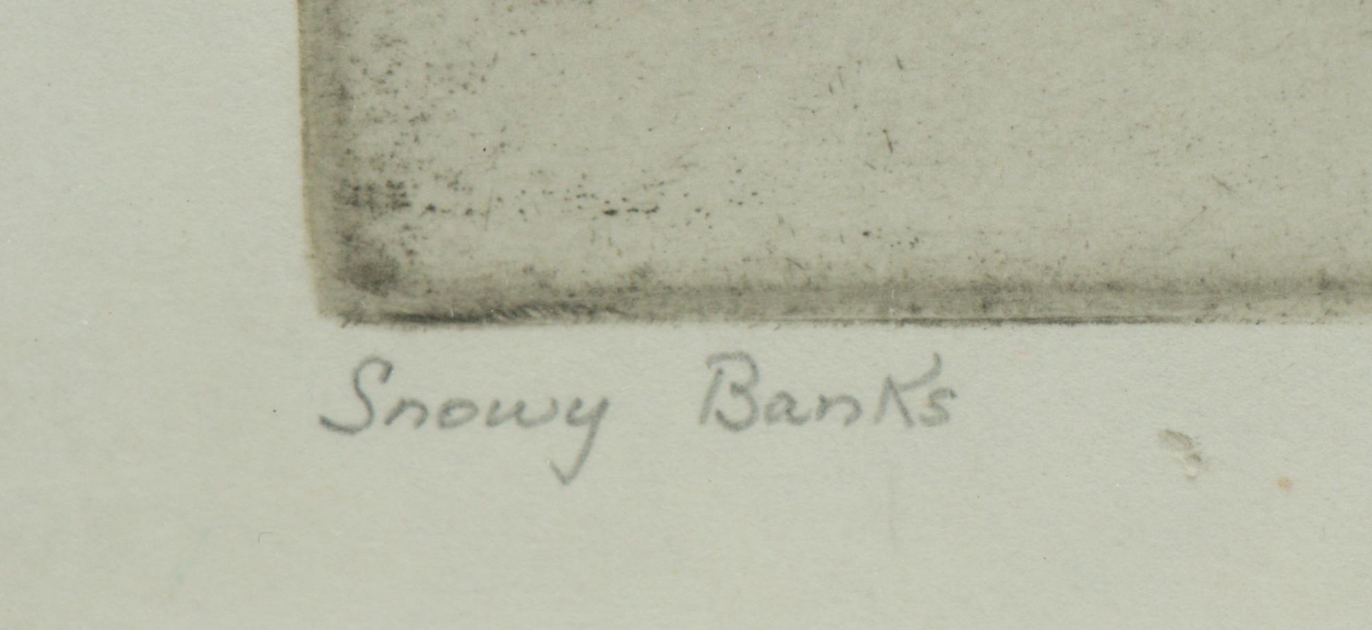 Snowy Banks