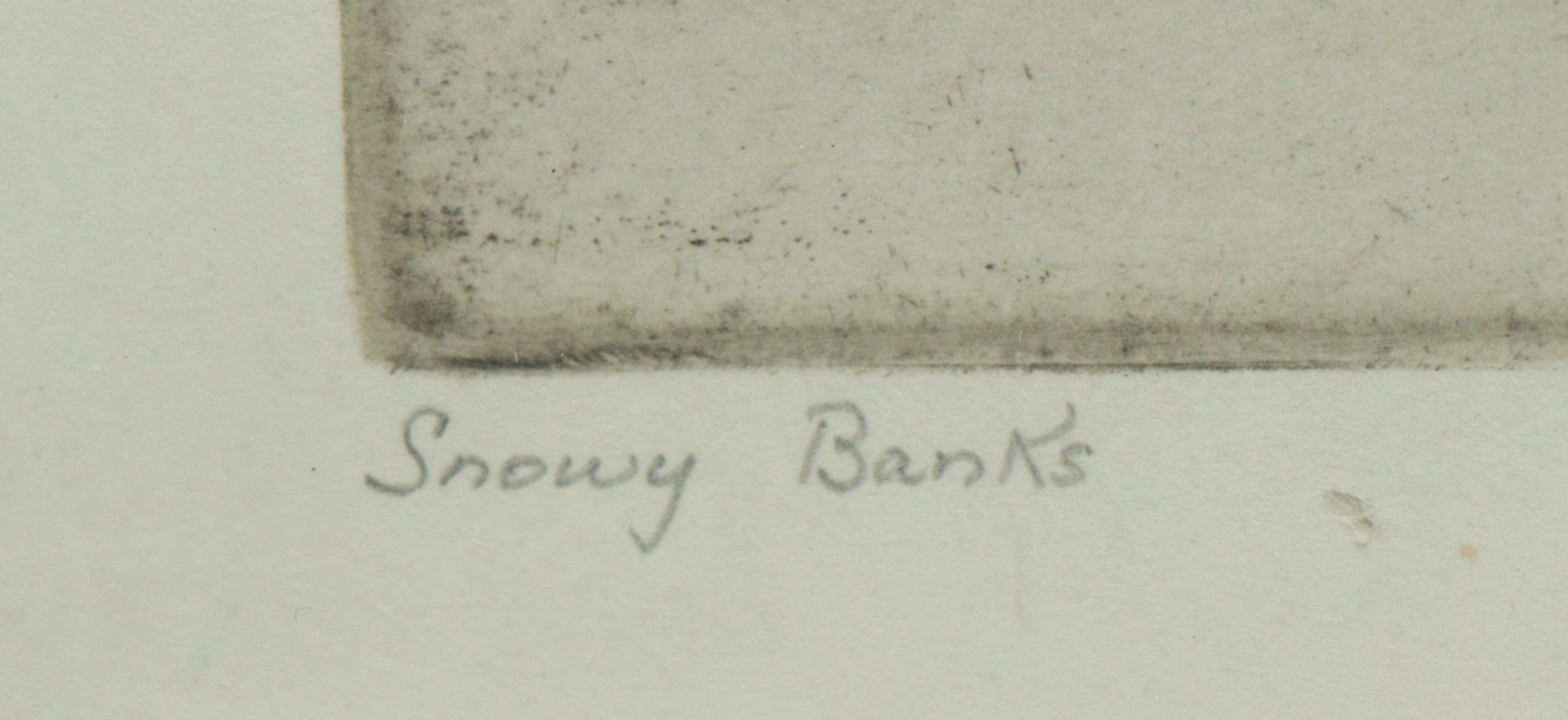 Snowy Banks