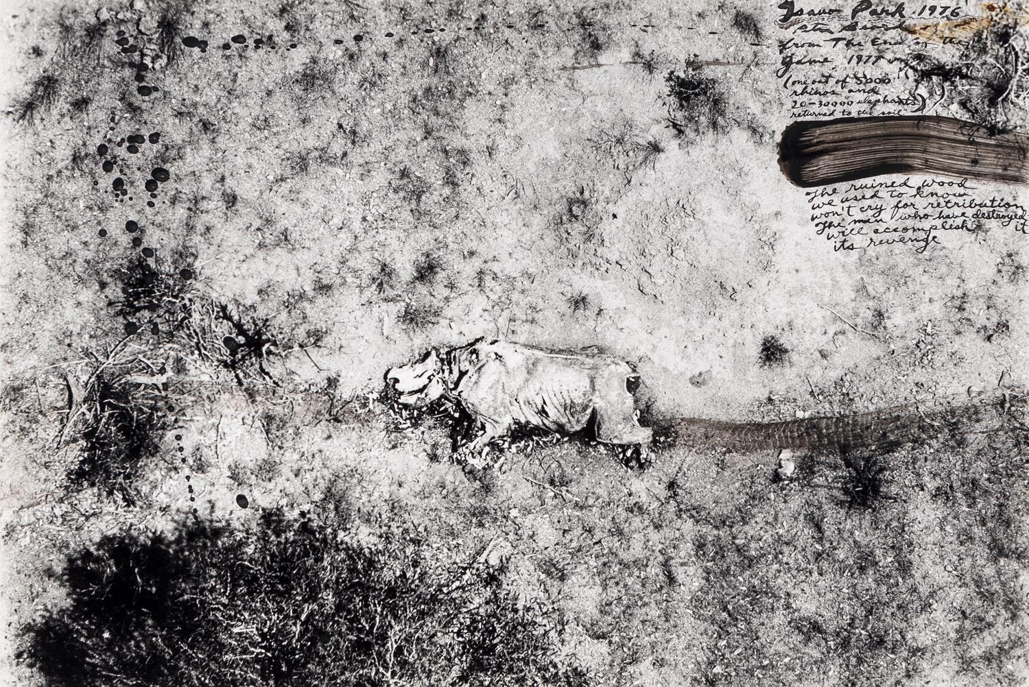 Tsavo Park (from "The End of the Game ), 1976-1977