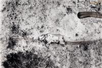 Tsavo Park (from "The End of the Game ), 1976-1977