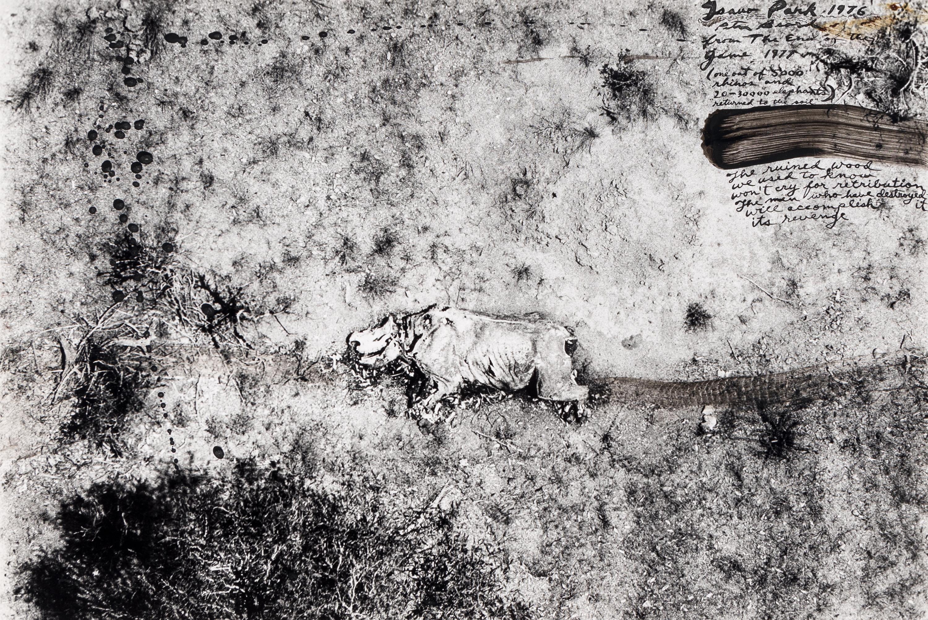 Tsavo Park (from "The End of the Game ), 1976-1977