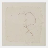 Drawing for Vine (Willow)