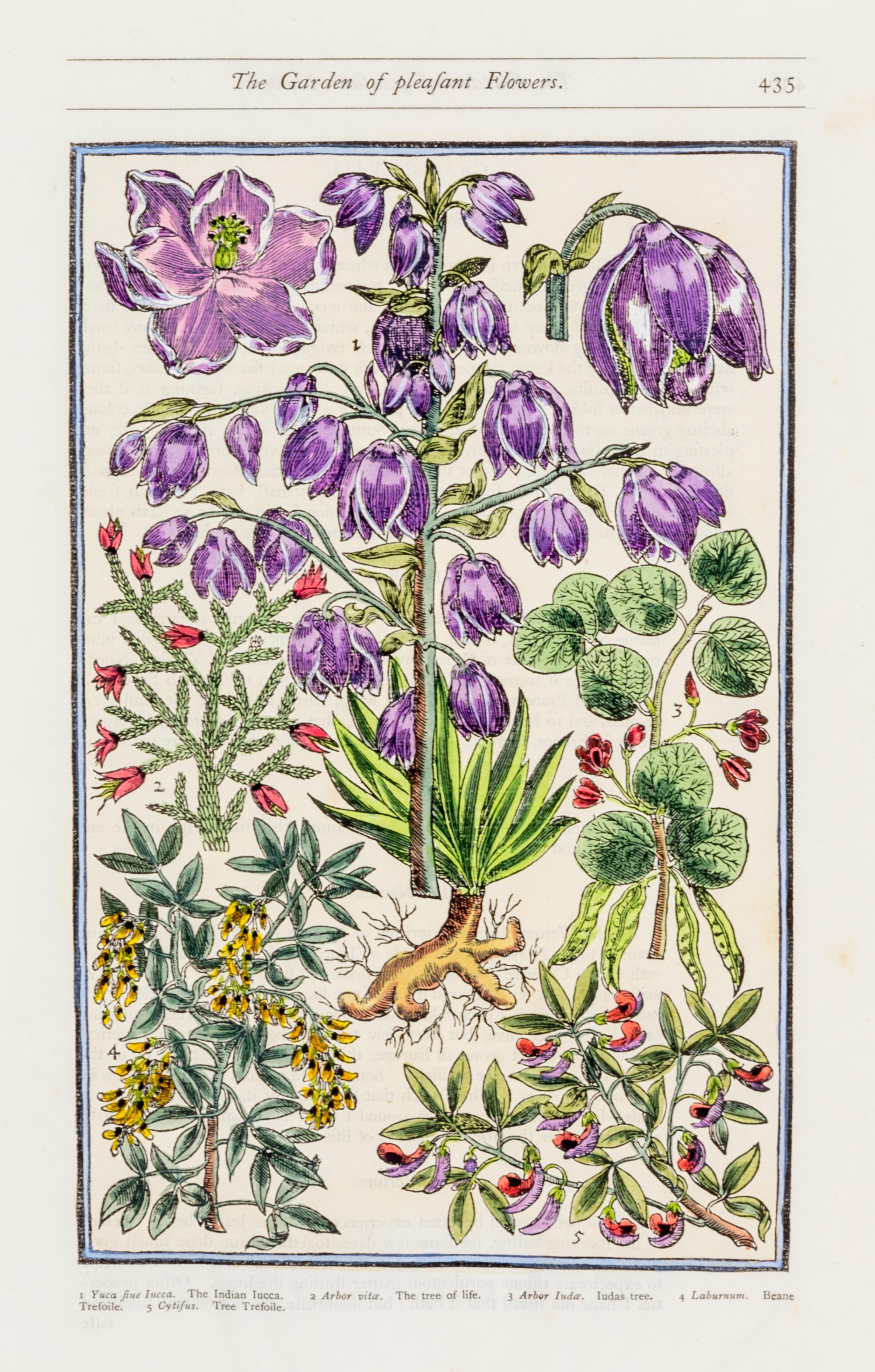 PARKINSON, JOHN. Group of eight handcolored facsimile etchings. (1910).