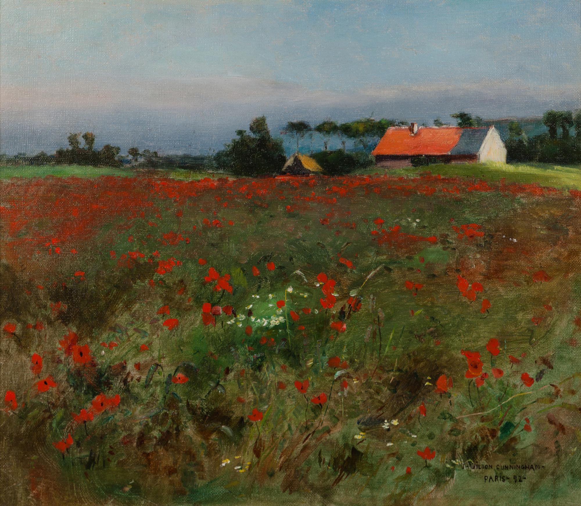 Poppy Field, Normandy
