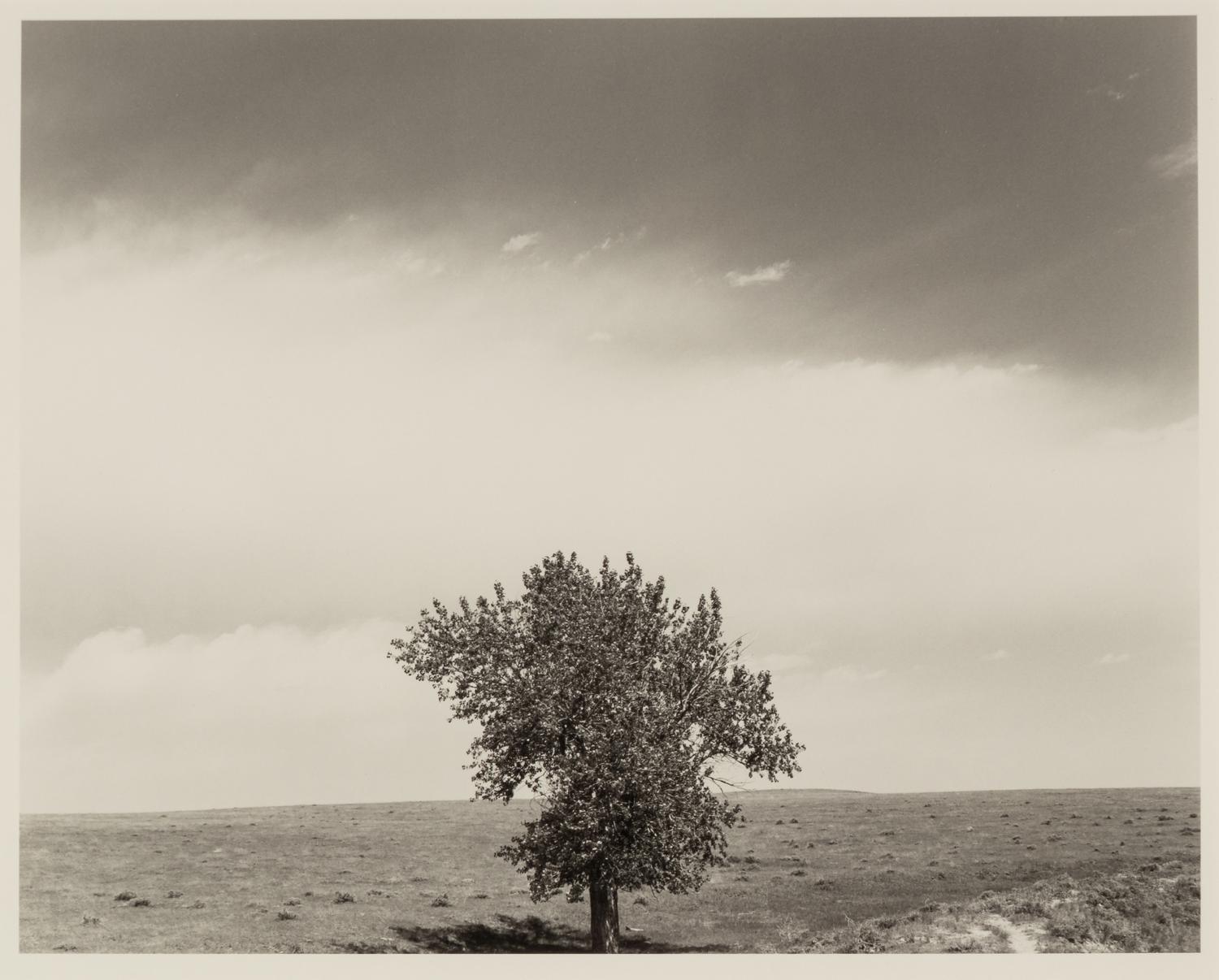 Robert Adams (born 1937) Pawnee National Grassland, Colorado, 1984