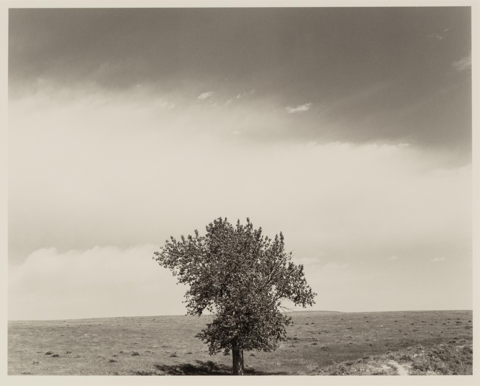 Robert Adams (born 1937) Pawnee National Grassland, Colorado, 1984
