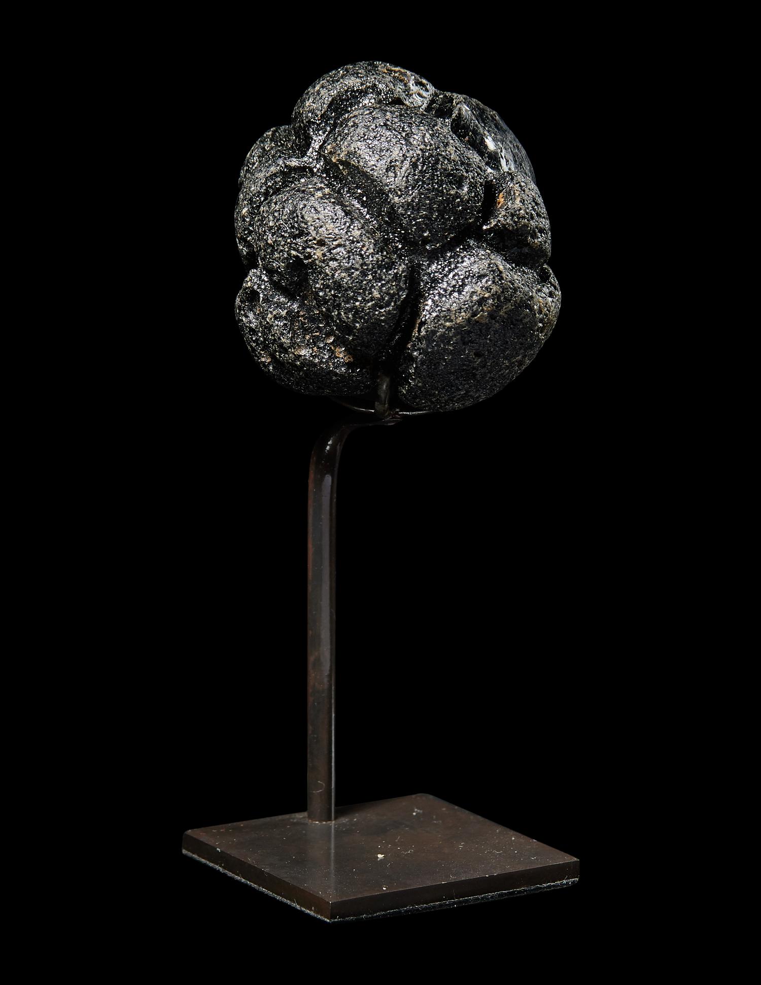 A Large Bicolite Tektite