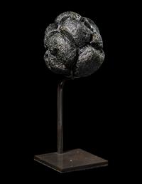 A Large Bicolite Tektite