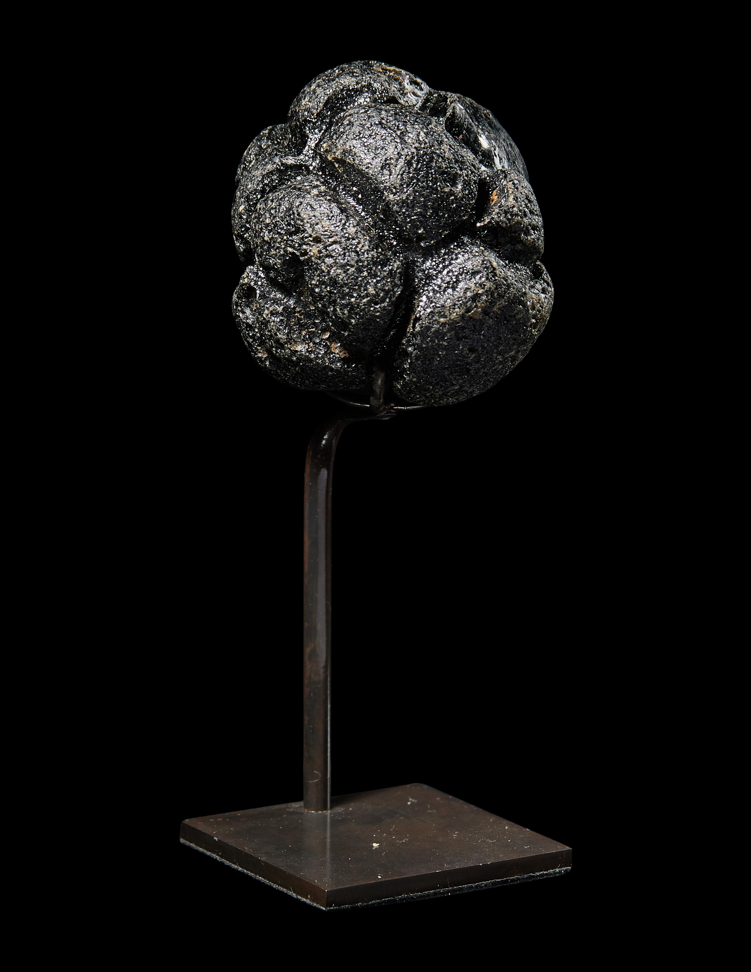 A Large Bicolite Tektite