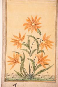 Seven Islamic Paintings