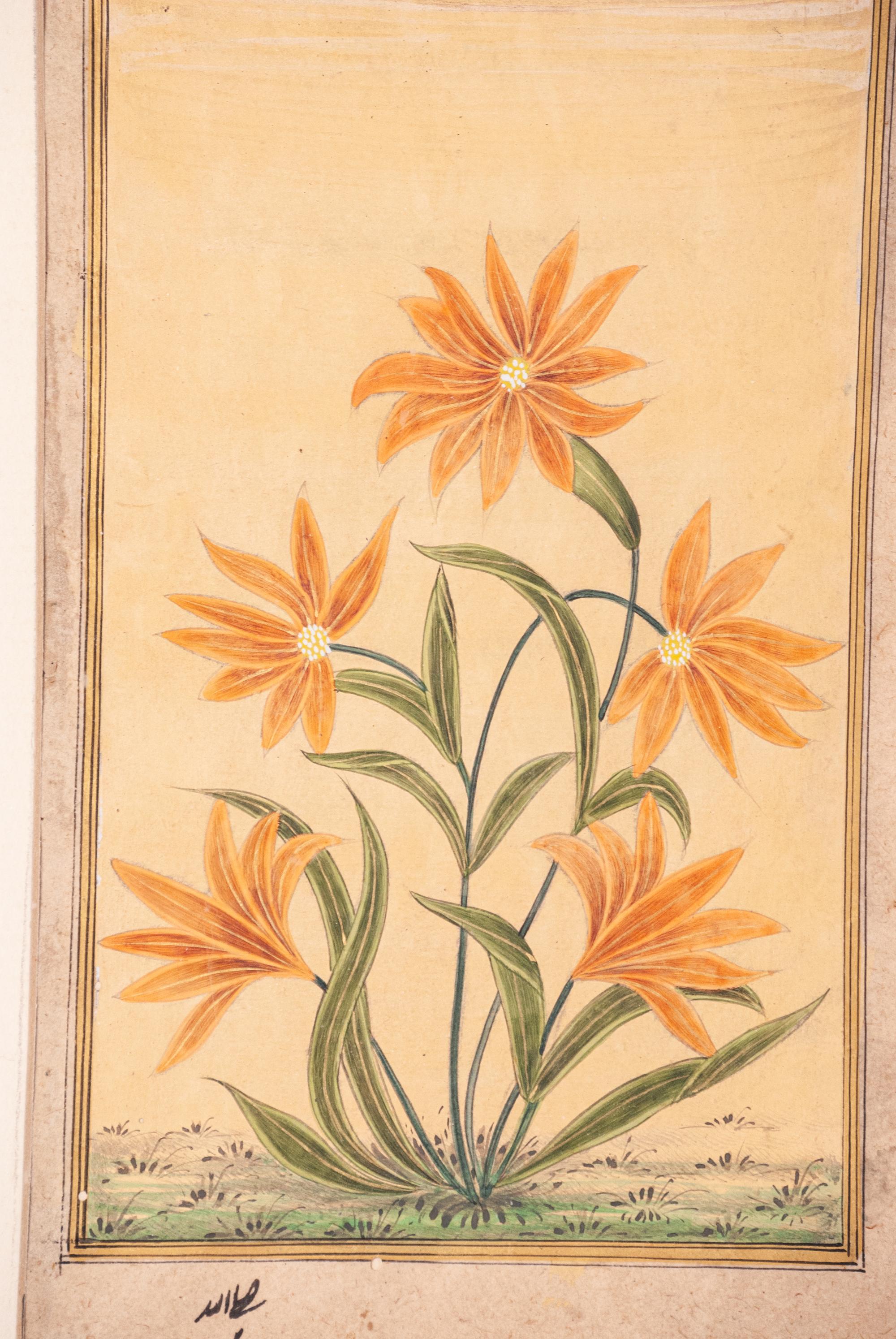 Seven Islamic Paintings