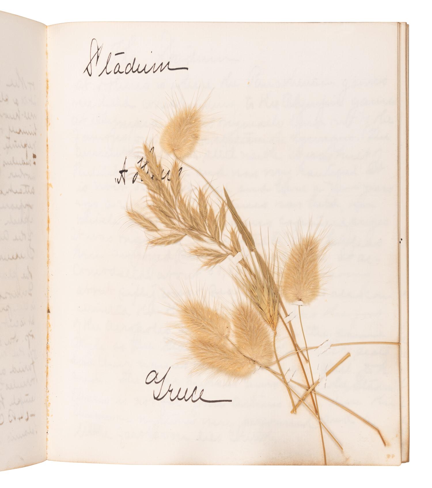 [SPECIMEN ALBUMS]. A group of 3 specimen albums with samples collected from The Holy Land, Greece and Southern Italy Great Britain, Denmark, Switzerland, Germany and France; and Egypt and Palestine. Ca 1890s.