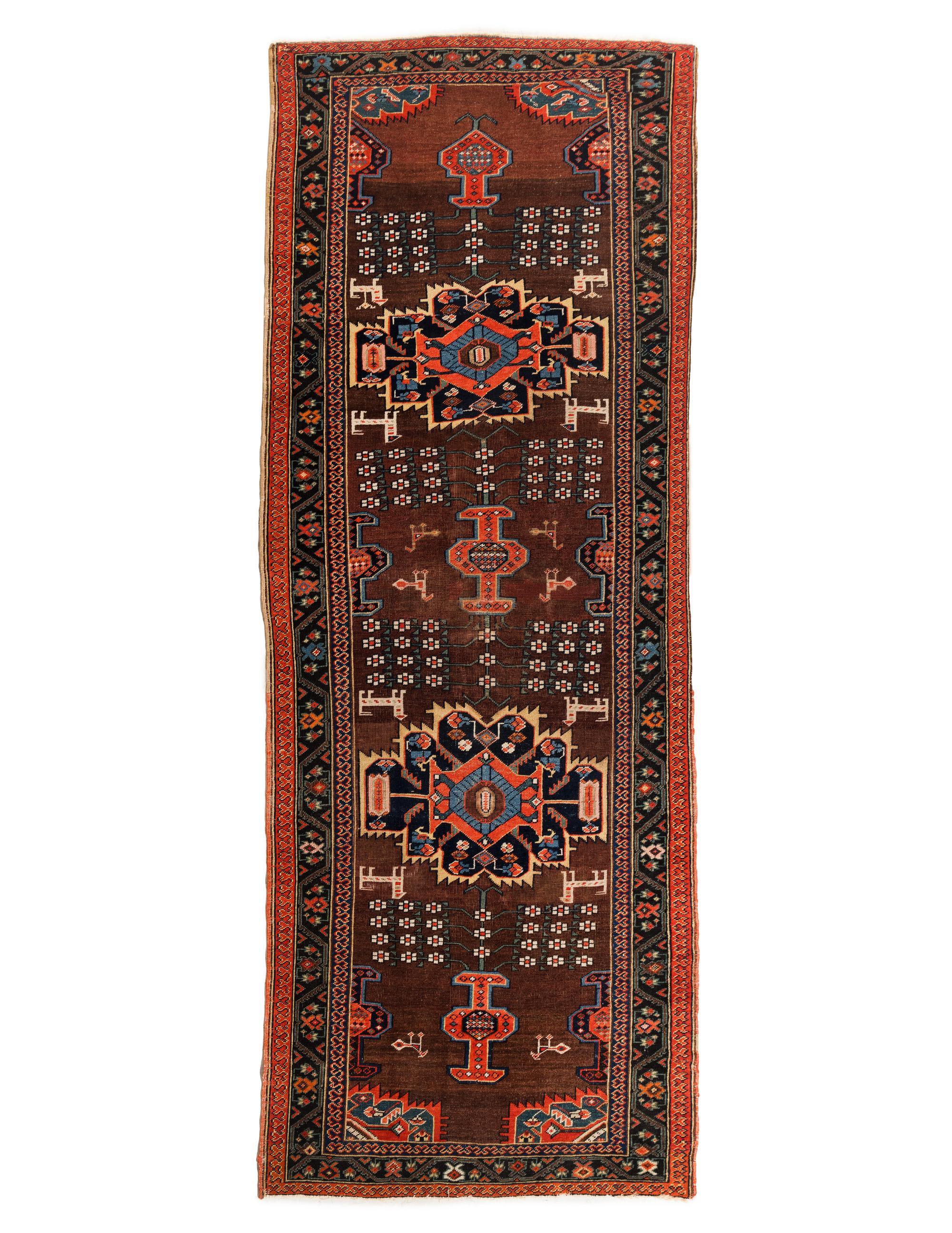 A Northwest Persian Runner