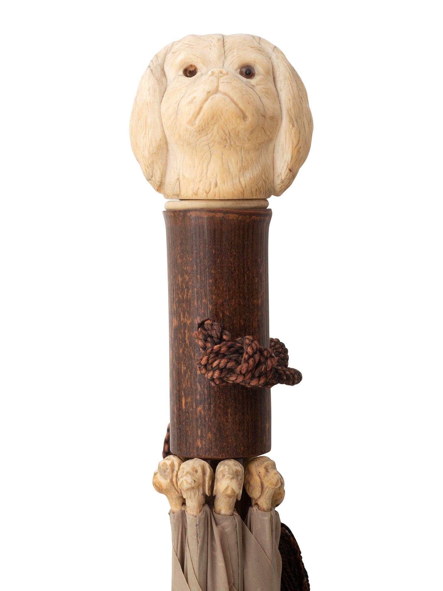 Four Walking Sticks and Umbrellas