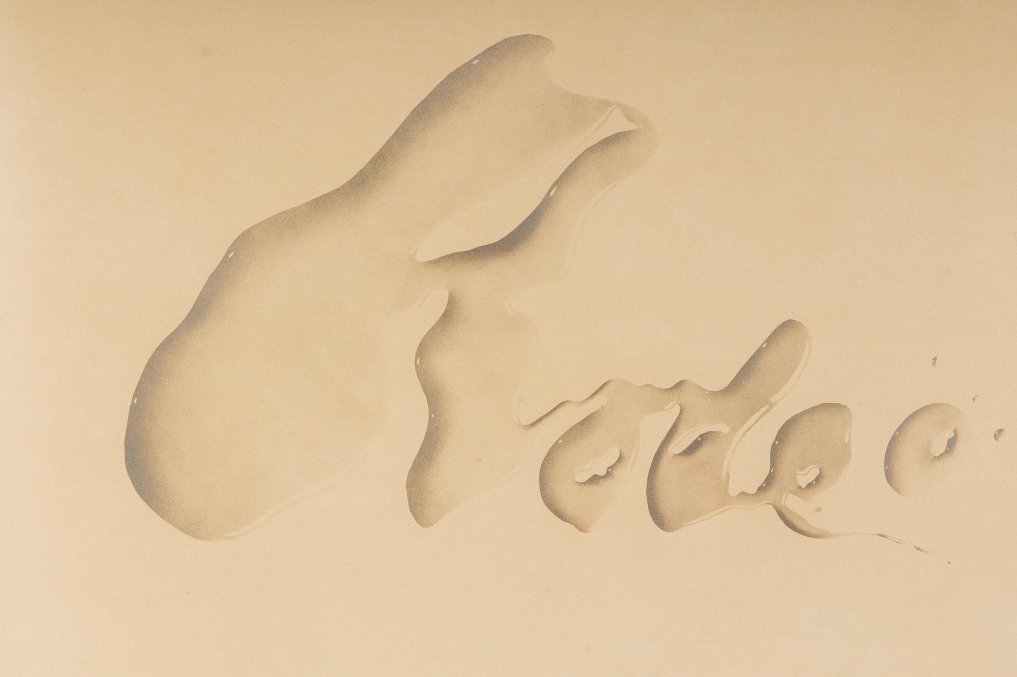 Rodeo , 1969