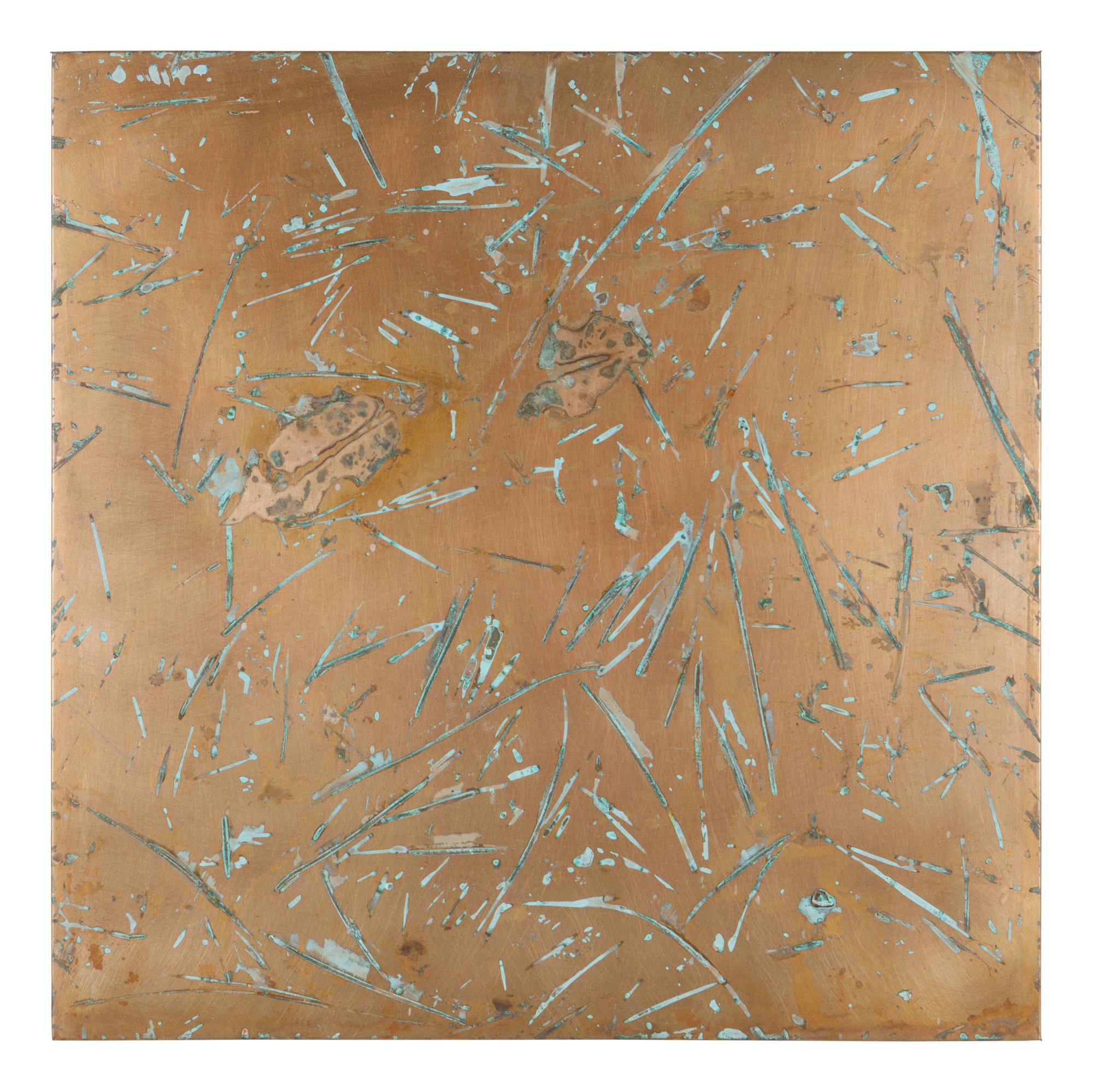 From Forest Mapping Series