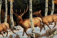 Deer in Winter