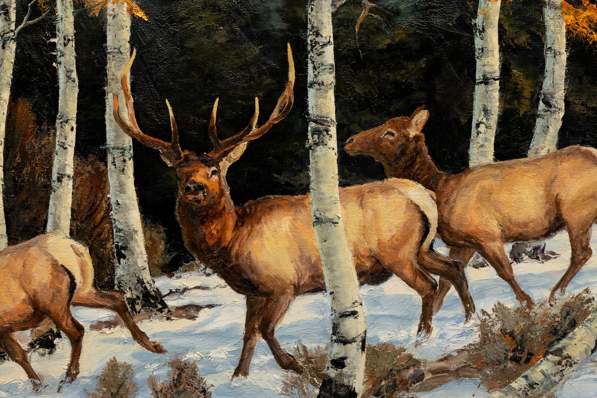 Deer in Winter