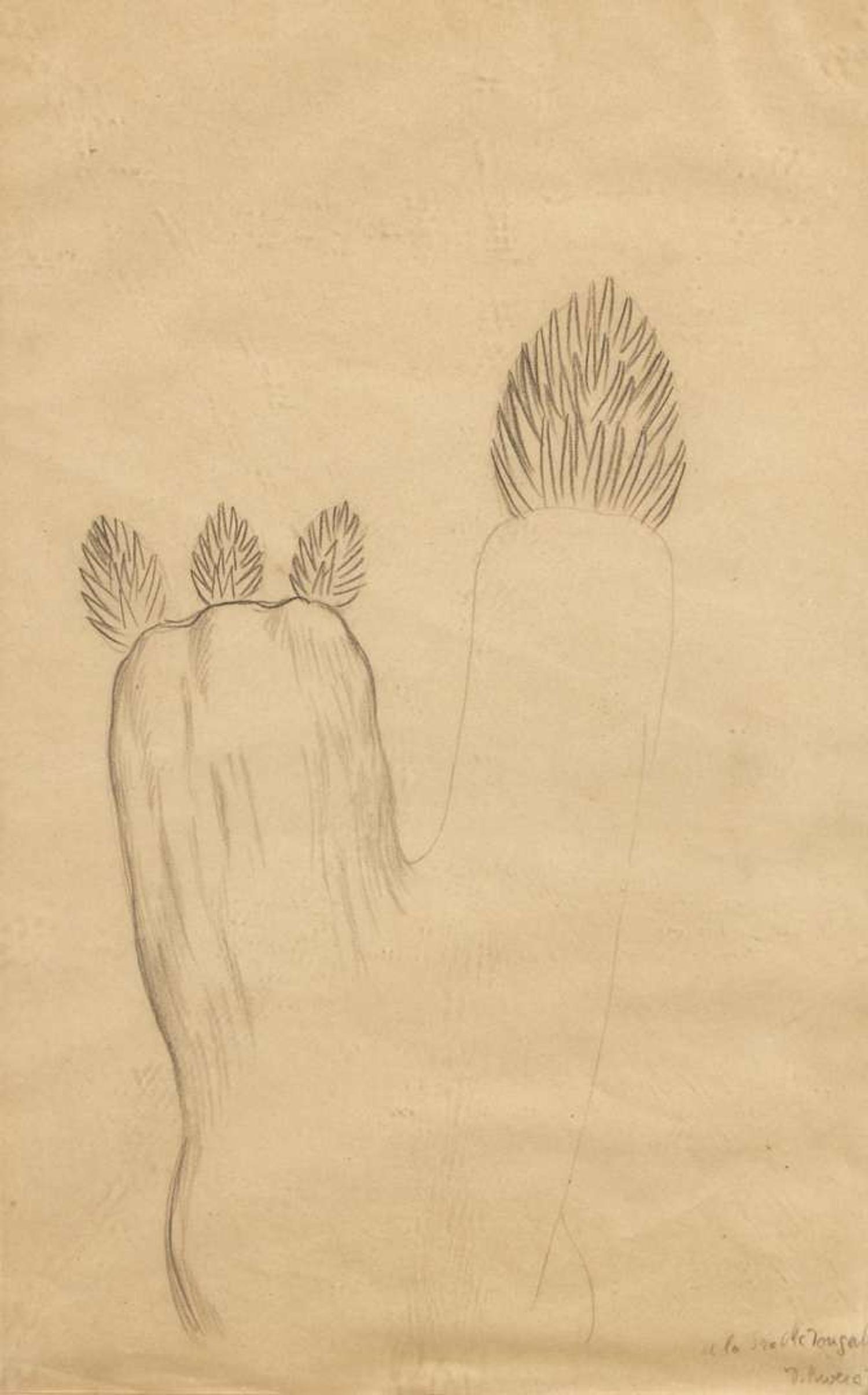 Diego Rivera (Mexican, 1886-1957) - Cactus