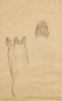 Diego Rivera (Mexican, 1886-1957) - Cactus
