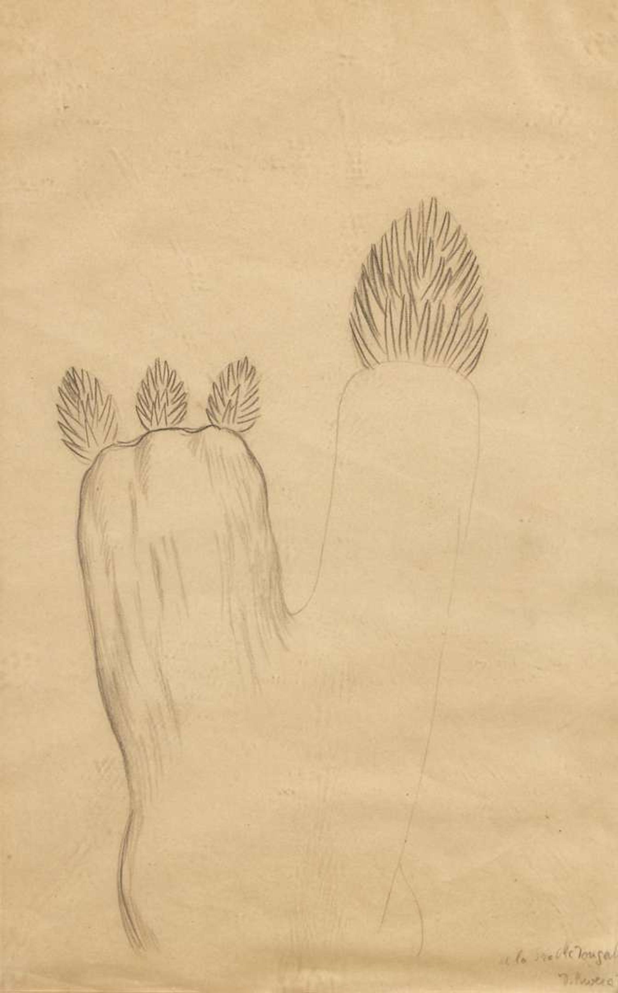Diego Rivera (Mexican, 1886-1957) - Cactus