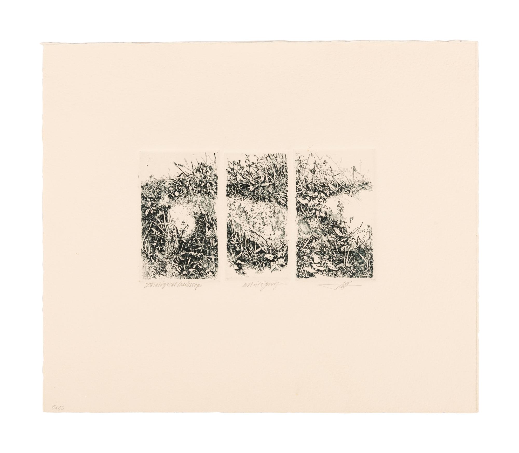 MOSER, Barry. Williston Tree 2. [ca 1979]. 372 x 408 mm. Etching. Captioned and signed in pencil, numbered 10/26. — Scatalogical Landscape. [ca 1979???]. 280 x 329 mm. Triptych on one sheet of separate etchings in dark green ink. Captioned and signed by Moser, inscribed “artist’s proof.”