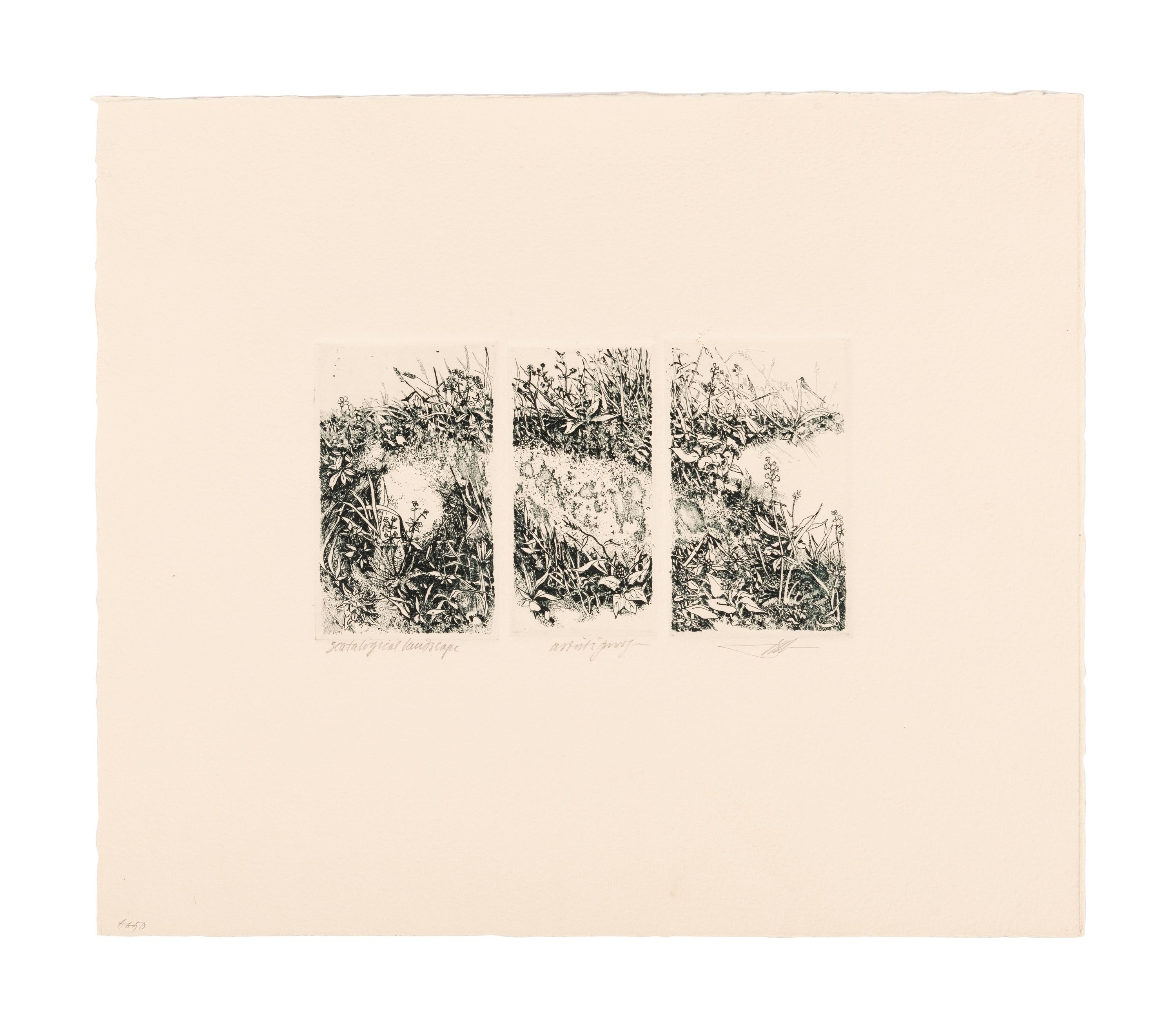 MOSER, Barry. Williston Tree 2. [ca 1979]. 372 x 408 mm. Etching. Captioned and signed in pencil, numbered 10/26. — Scatalogical Landscape. [ca 1979???]. 280 x 329 mm. Triptych on one sheet of separate etchings in dark green ink. Captioned and signed by Moser, inscribed “artist’s proof.”