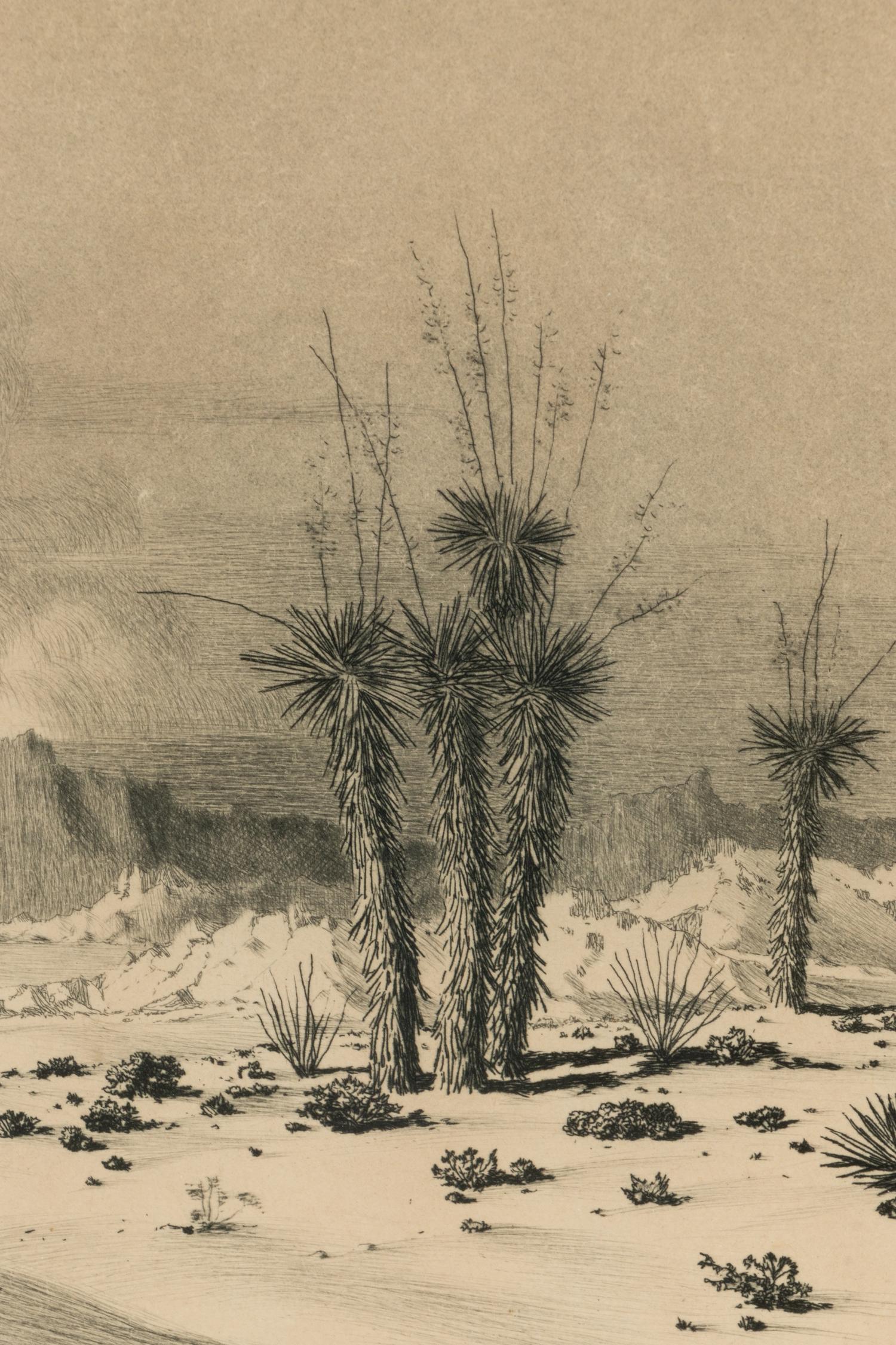 Seaside Landscape , plus etching, Evening Desert, Arizona